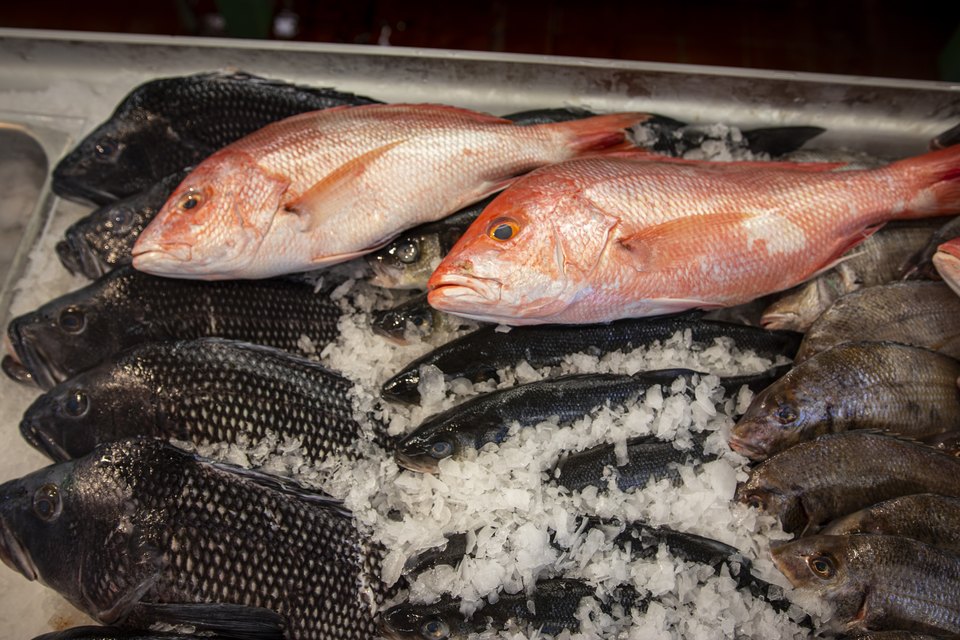 Fresh local fish on ice at Lighthouse Seafood market in Hampton Bays, near Ocean View Terrace Inn